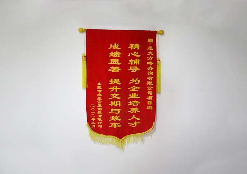 精心輔導(dǎo)，為企業(yè)培養(yǎng)人才